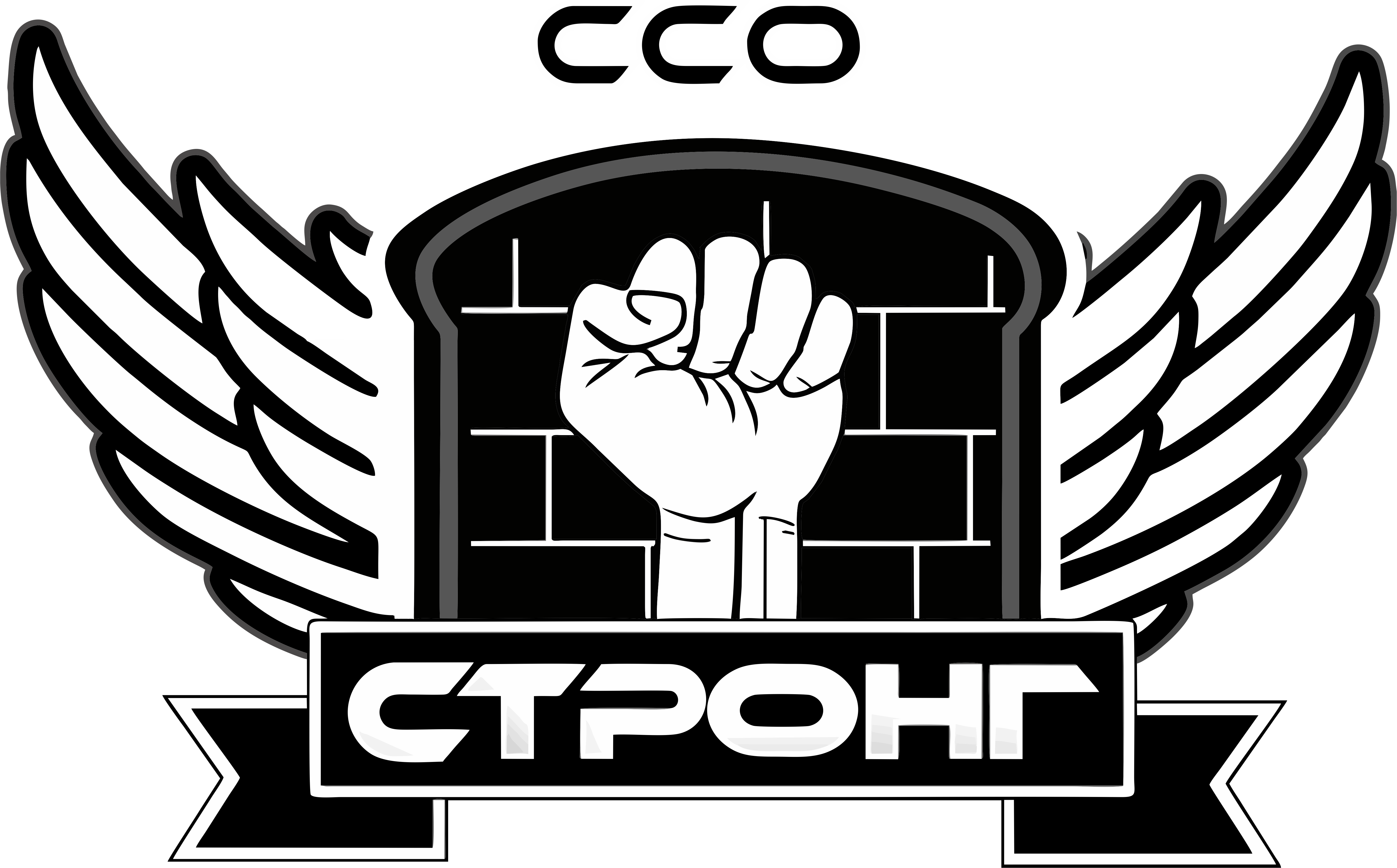 ССО «Стронг»